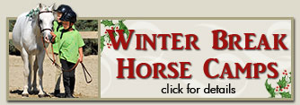 Hayden Summer Camp Horseback Riding