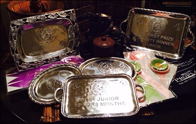 Sonoran and Symphony's This Little Ligh of Mine - Beacon AKC Boxer Trophies