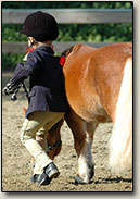 Horseback Riding Lessons, Nellie Gail, Orange County California