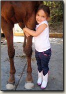 Horseback Riding Camp, Hayden Riding School, Nellie Gail