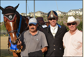 Lane Clarke Grand Prix Show Jumping Horses