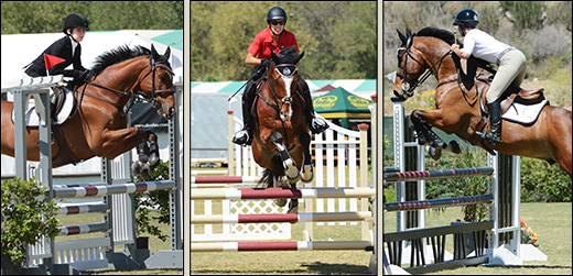 Ali Berens, Wendy Wiessner, Serenity Phillips, Hayden Show Jumping